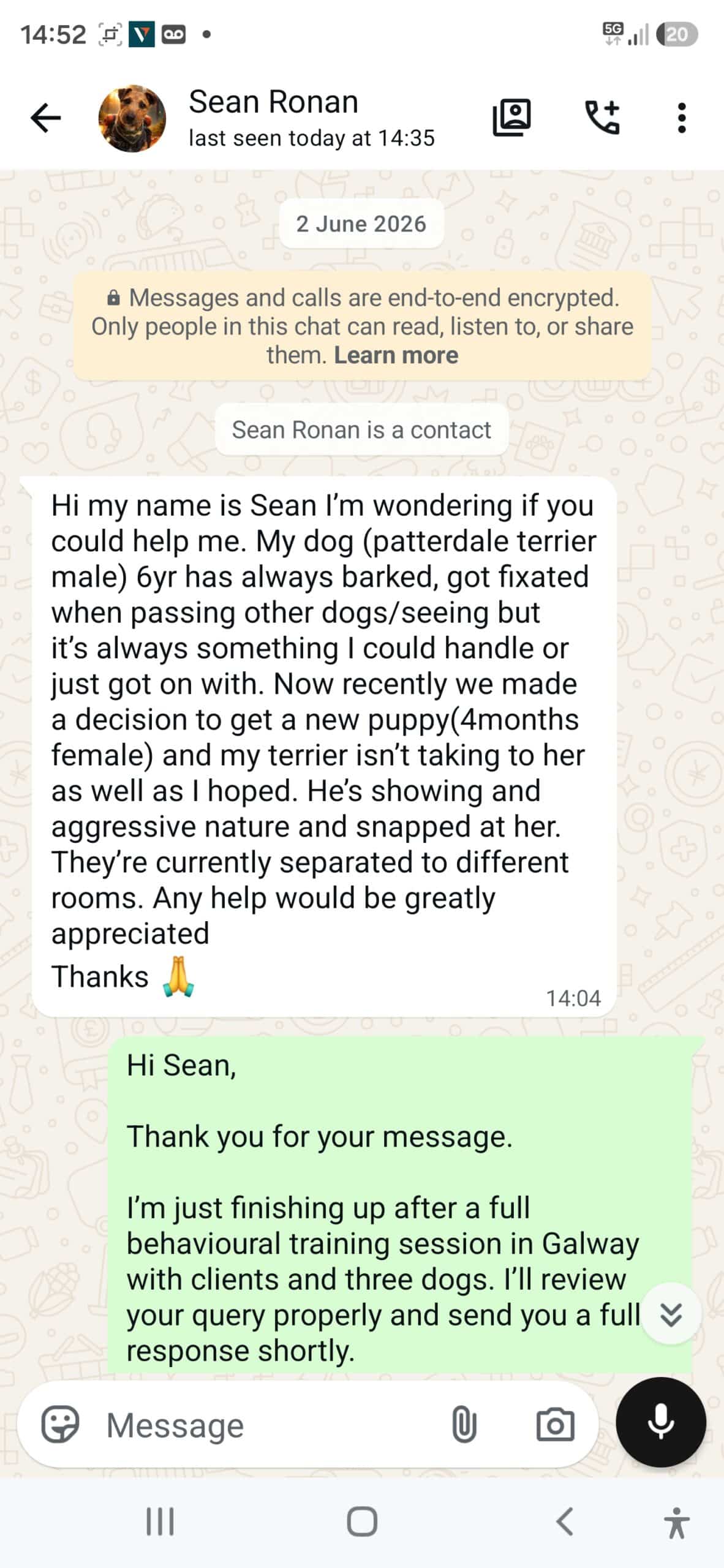 Sean’s first message about introducing Lucy to Harvey