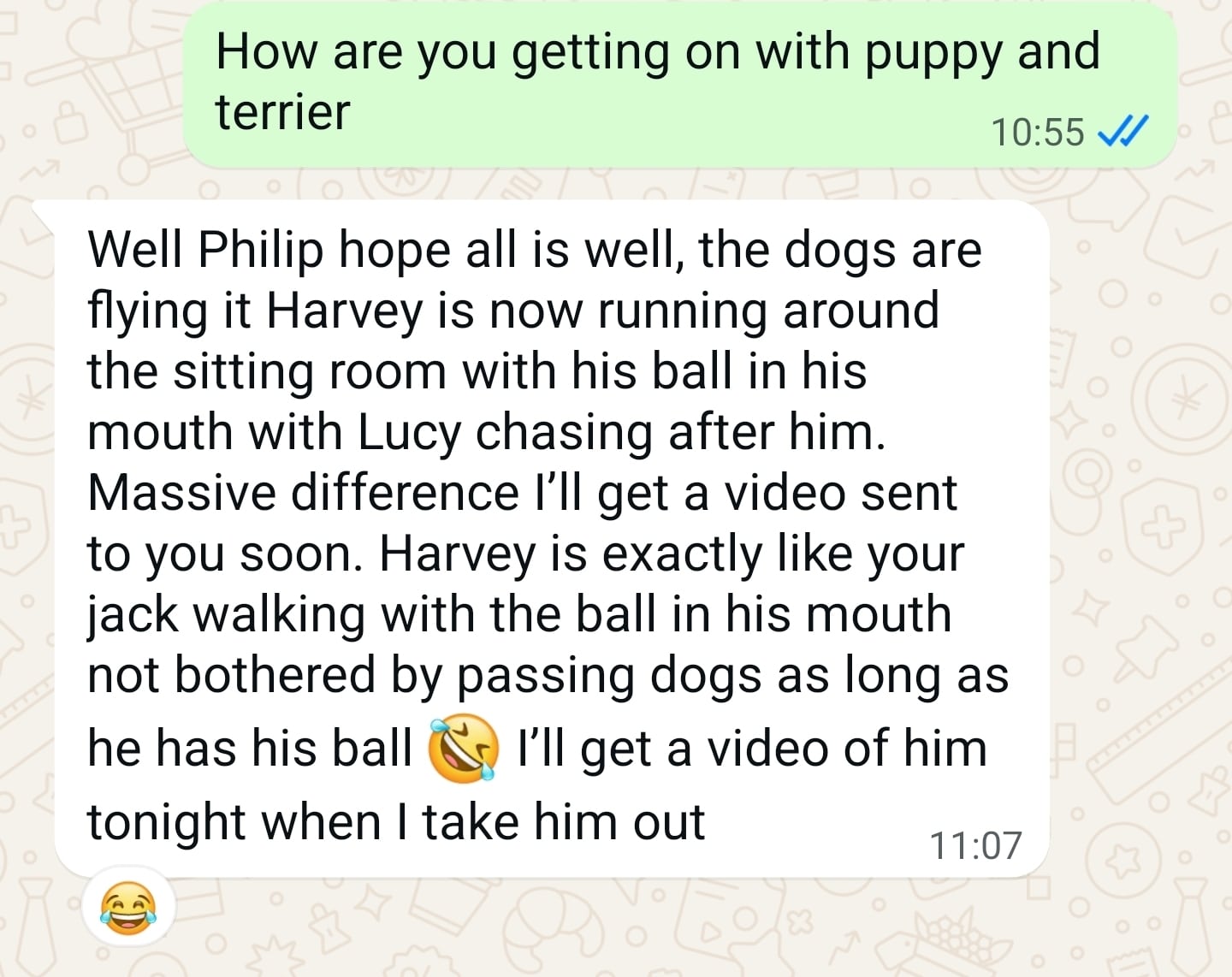 Sean sharing a positive update about Lucy and Harvey after the visit