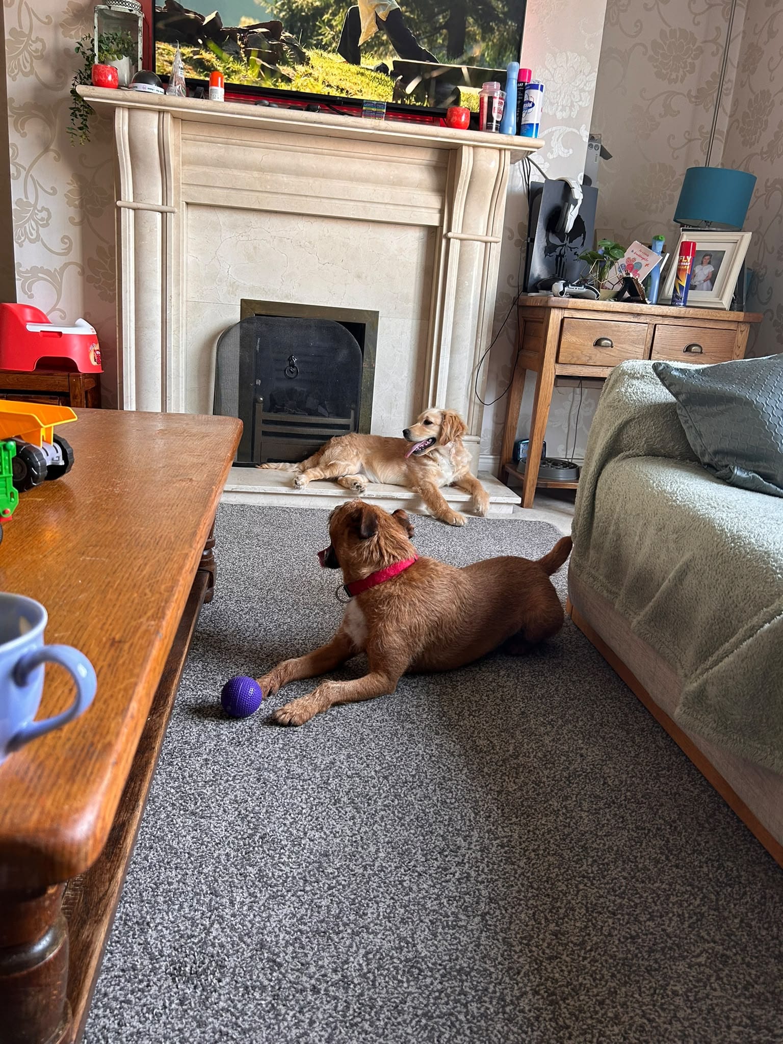Lucy and Harvey together during the early stages of settling into family life