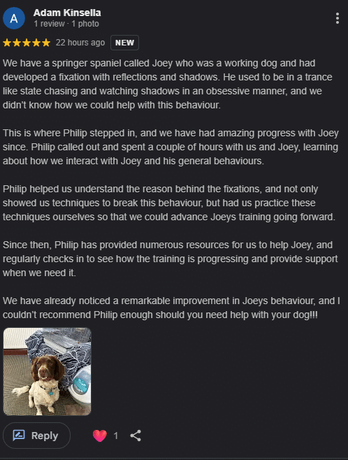 Five-star review from Joey’s owner